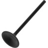 Soupape moteur Black Diamond™
