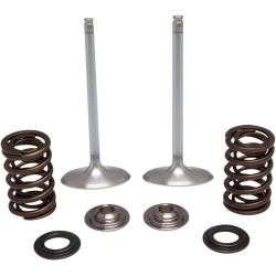 Kit de conversion soupape et ressort d'admission inox