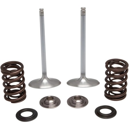 Intake Stainless Conversion Valve and Spring Kit