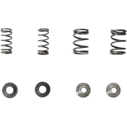 Lightweight Racing Valve Spring Kit