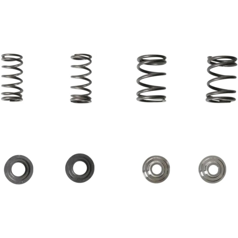 Lightweight Racing Valve Spring Kit