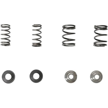 Lightweight Racing Valve Spring Kit