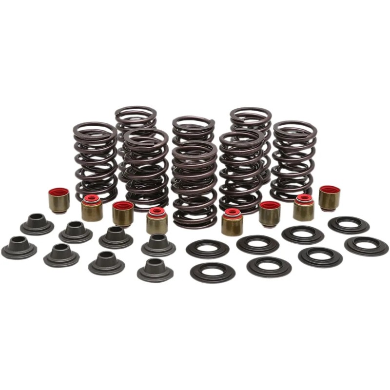 Valve Spring Kit