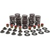 Valve Spring Kit