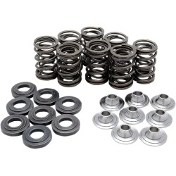 Valve Spring Kit