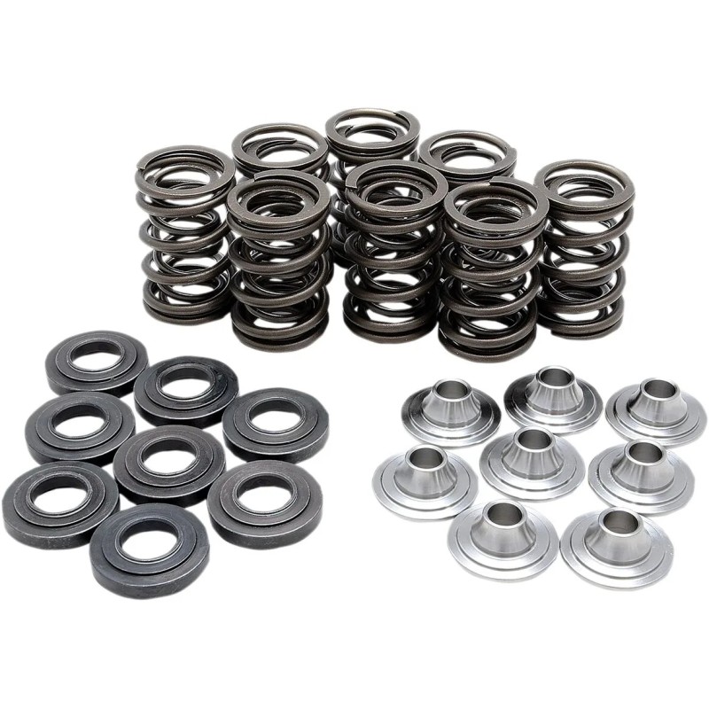 Valve Spring Kit