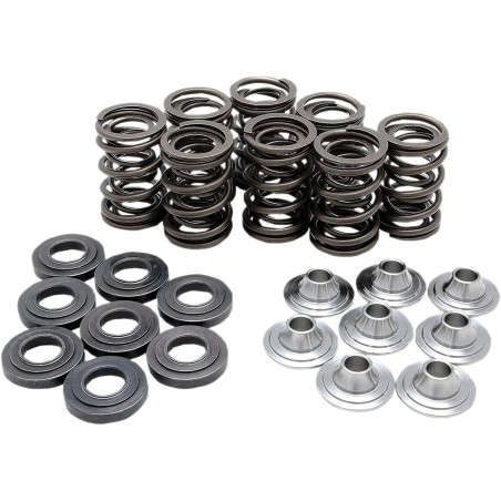 Valve Spring Kit
