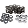 Valve Spring Kit