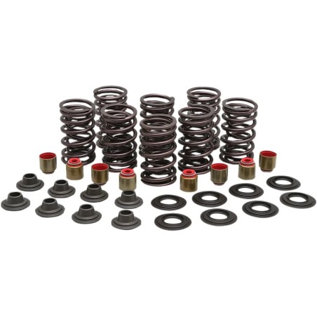 Valve Spring Kit
