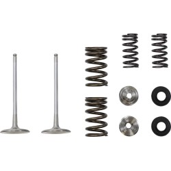 Intake Valve and Spring Kit