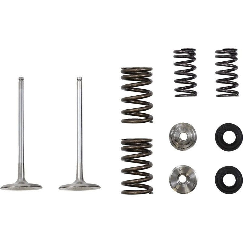 Intake Valve and Spring Kit