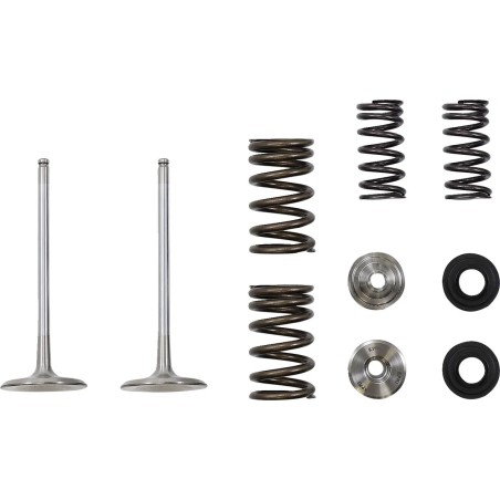 Intake Valve and Spring Kit