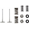 Intake Valve and Spring Kit