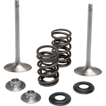 Intake Stainless Conversion Valve and Spring Kit