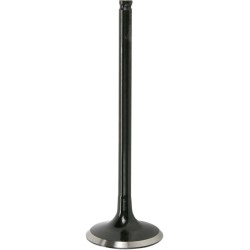 Black Diamond  Engine Valve