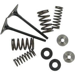 Kit de conversion soupape et ressort d'admission inox