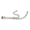 ZARD FULL EXHAUST SYSTEM 2 1 H-D TOURINGS (STREET GLIDE   ROAD KING   ROAD GLIDE) E5