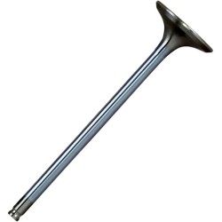 White Diamond  Engine Valve