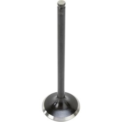 Soupape moteur Black Diamond™