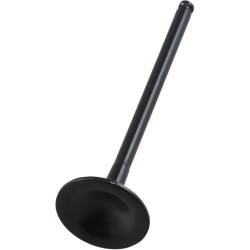 Black Diamond  Engine Valve