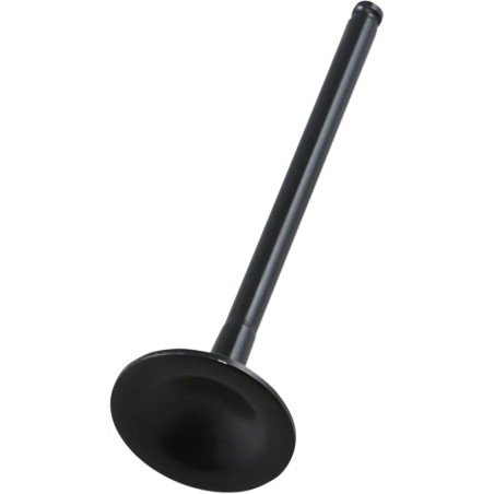Black Diamond  Engine Valve