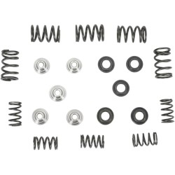 Lightweight Racing Valve Spring Kit