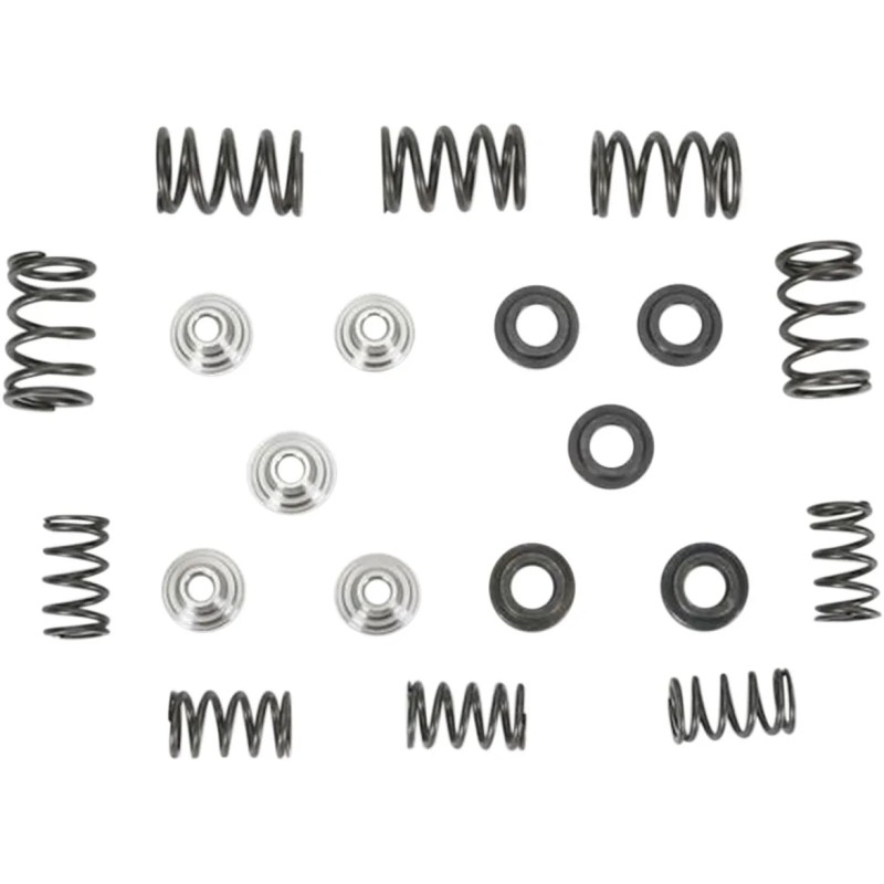 Lightweight Racing Valve Spring Kit