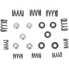 Lightweight Racing Valve Spring Kit