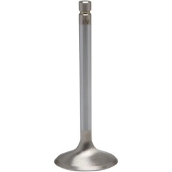 White Diamond  Engine Valve