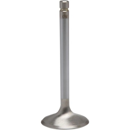 White Diamond  Engine Valve