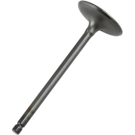 Engine Valve