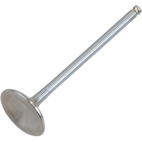 White Diamond  Engine Valve