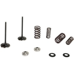 Intake Stainless Conversion Valve and Spring Kit