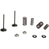 Intake Stainless Conversion Valve and Spring Kit