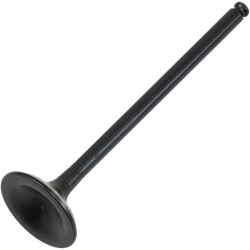 Black Diamond  Engine Valve