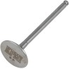 Tensilite  Titanium Engine Valve