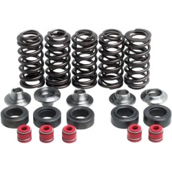 Valve Spring Kit
