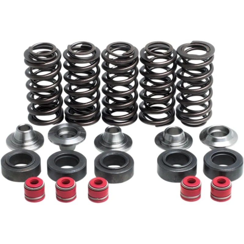 Valve Spring Kit
