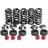 Valve Spring Kit
