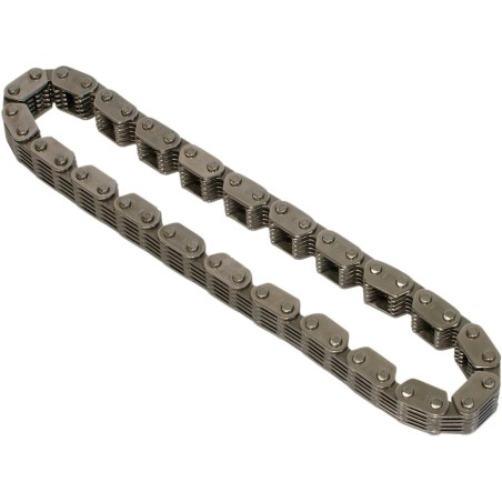 Cam Chain