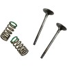 Valve and Spring Kit