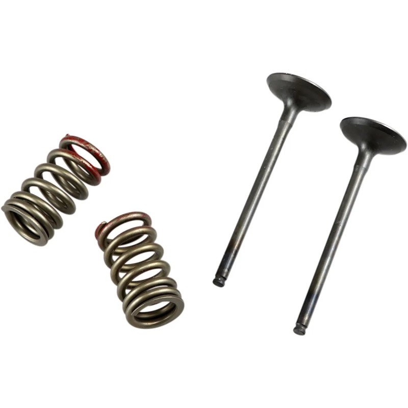 Valve and Spring Kit