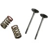 Valve and Spring Kit