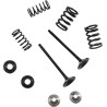 Exhaust Valve and Spring Kit