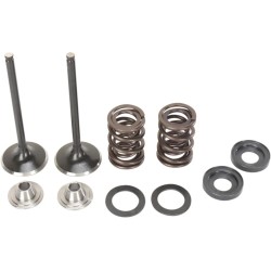 Exhaust Valve and Spring Kit
