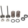 Exhaust Valve and Spring Kit