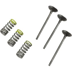 Valve and Spring Kit