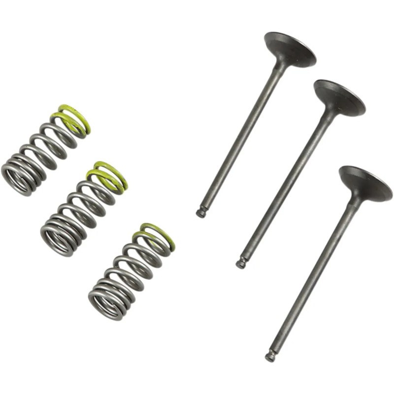 Valve and Spring Kit