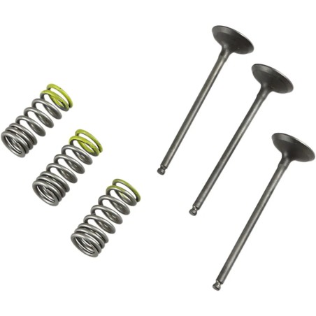 Valve and Spring Kit