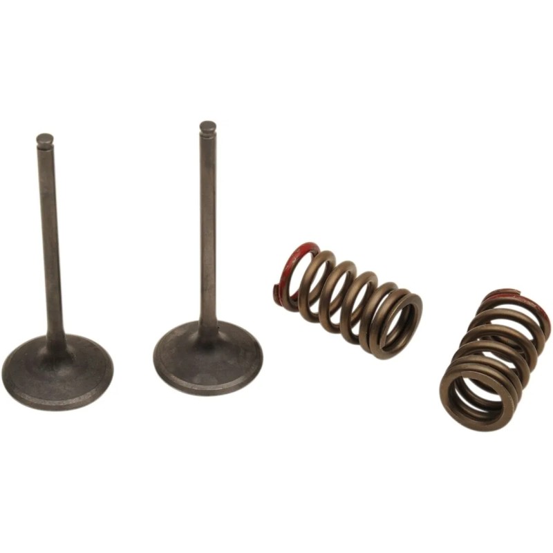Valve and Spring Kit